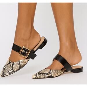 Brenda Zaro Mule Size 7. 5 Slip On Leather Python Pointed Toe Shoes Buckle Spain